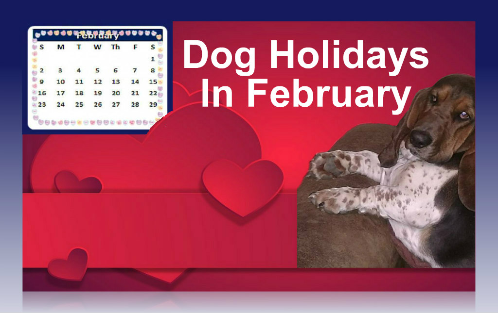 What Are The Dog Holidays In February